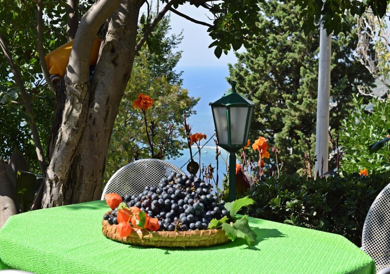 Apartment Ivana Borak Omiš Eksteriør bilde